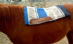 Pull Saddle Blanket Back Into Place